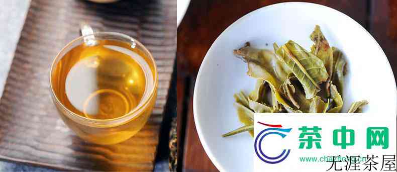 如何感知普洱茶汤的粘稠度？