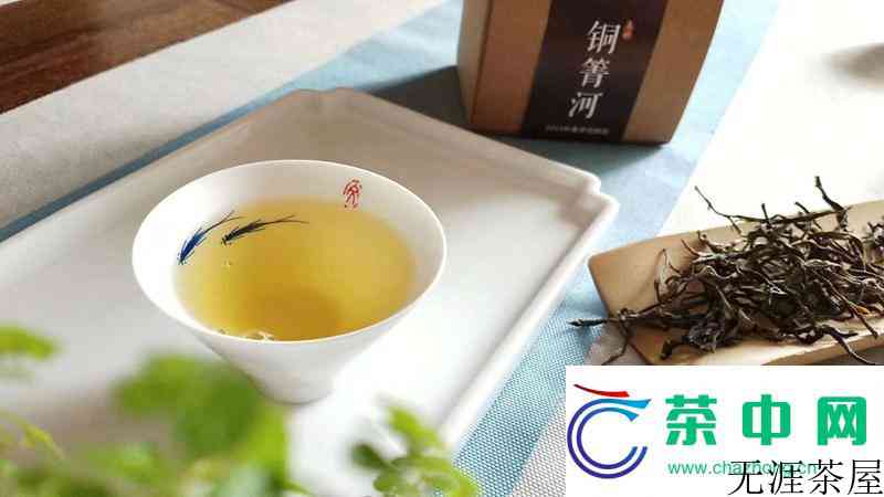 普洱茶不可乱喝, 生茶熟茶是有讲究的, 喝法也不同