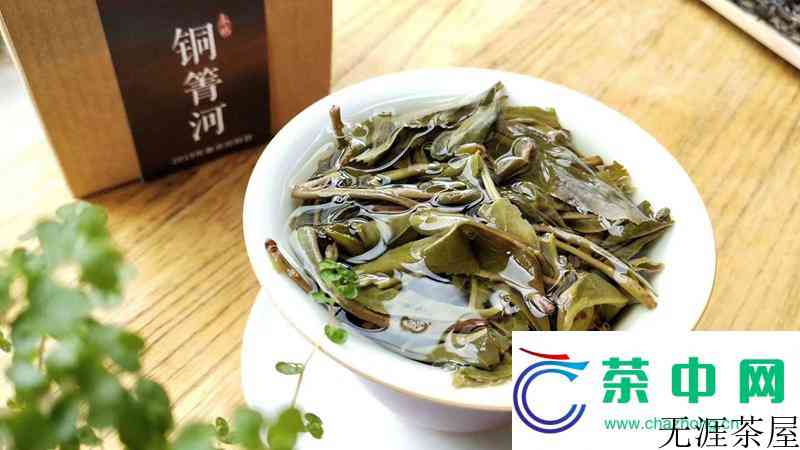 普洱茶不可乱喝, 生茶熟茶是有讲究的, 喝法也不同