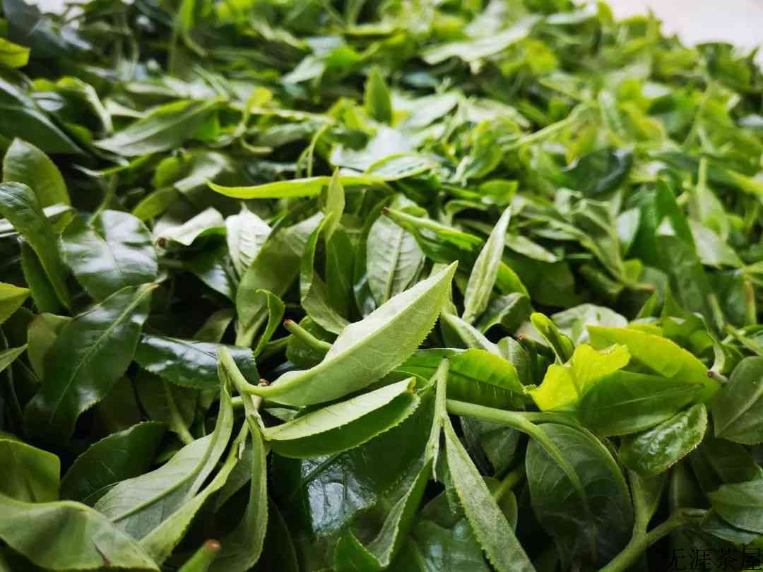 耿马新势古树茶，源自高原的真情
