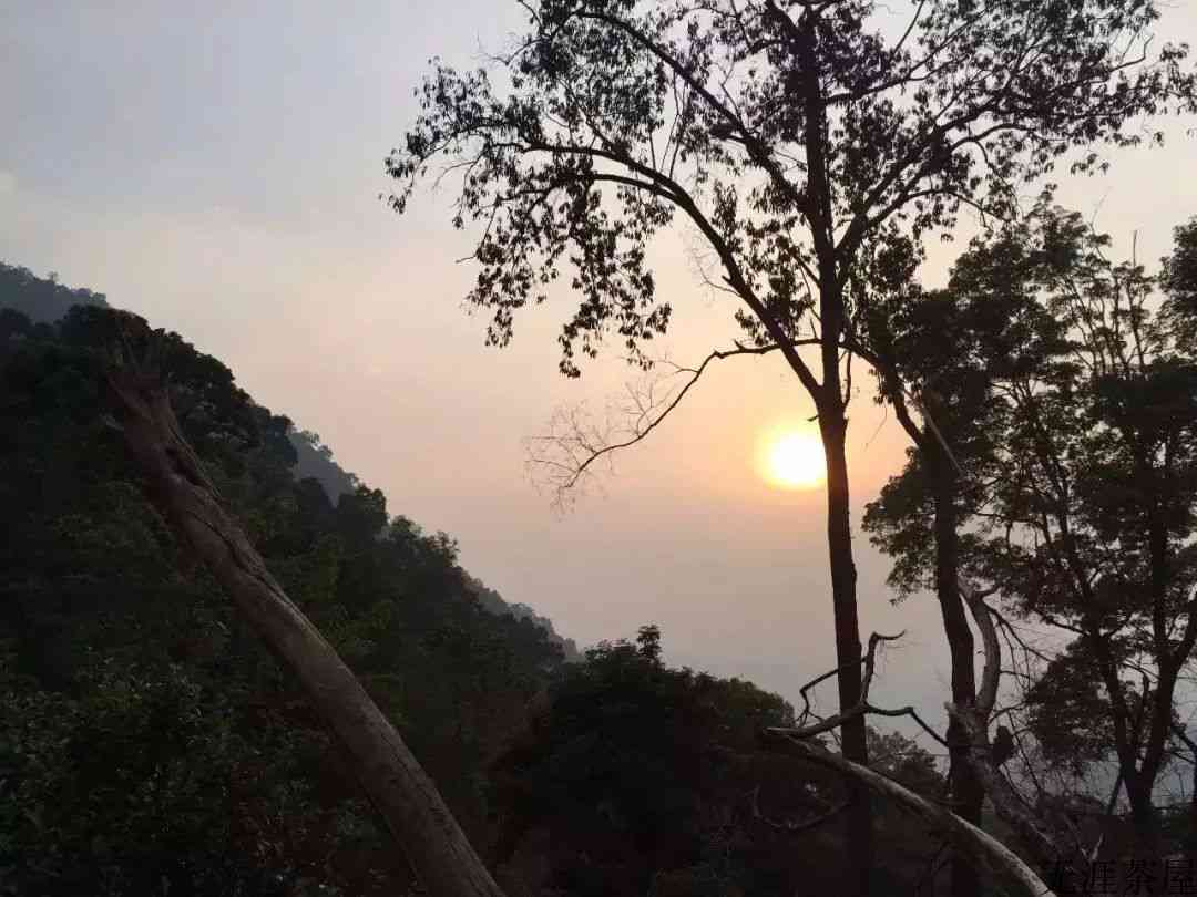 刮风寨，陈化之王
