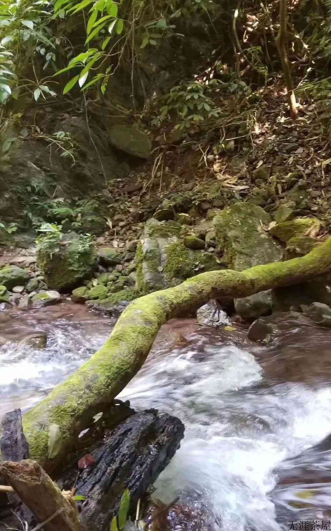 刮风寨，陈化之王