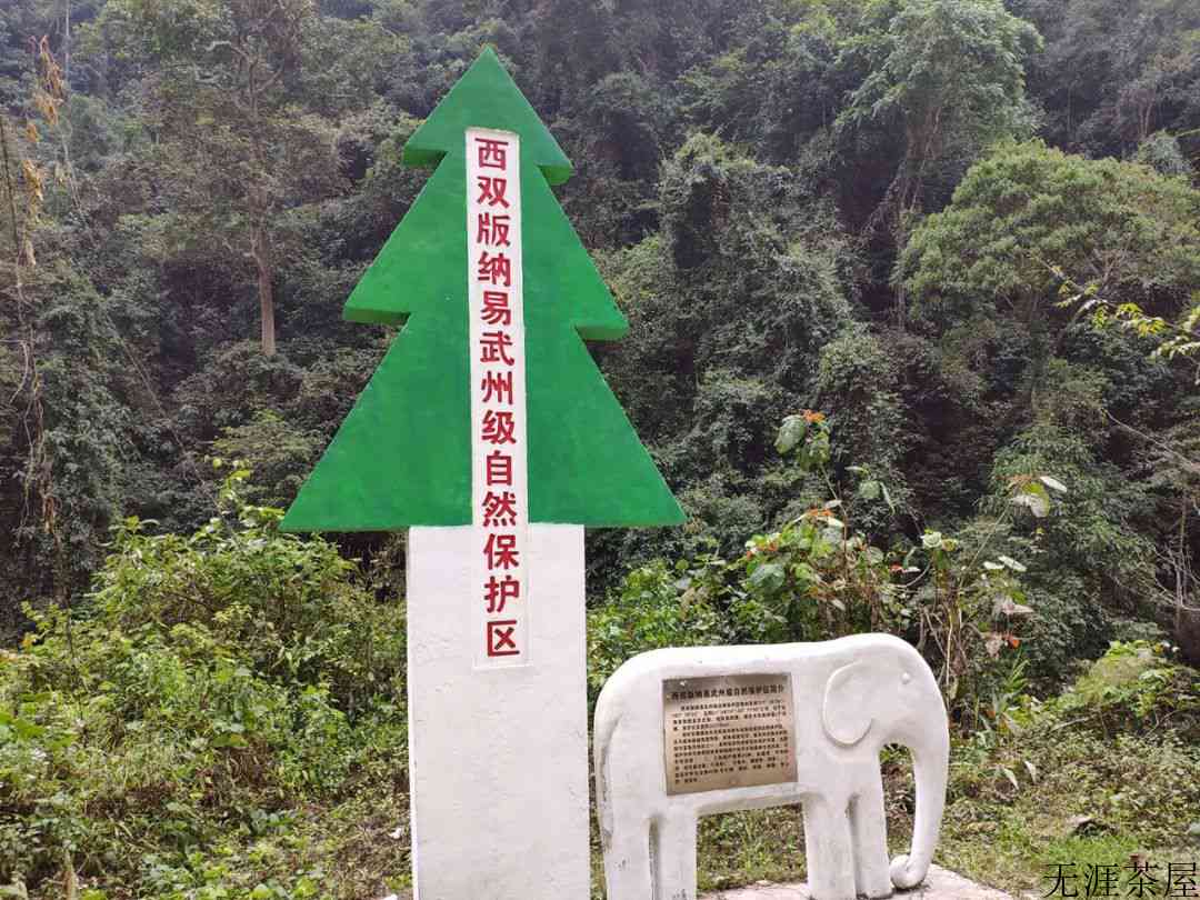 刮风寨，陈化之王