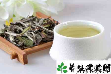 常喝白茶益处多多，你也该换换茶了
