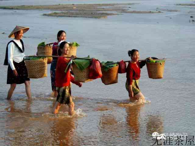 茶叶之乡耿马——茶人必去的地方