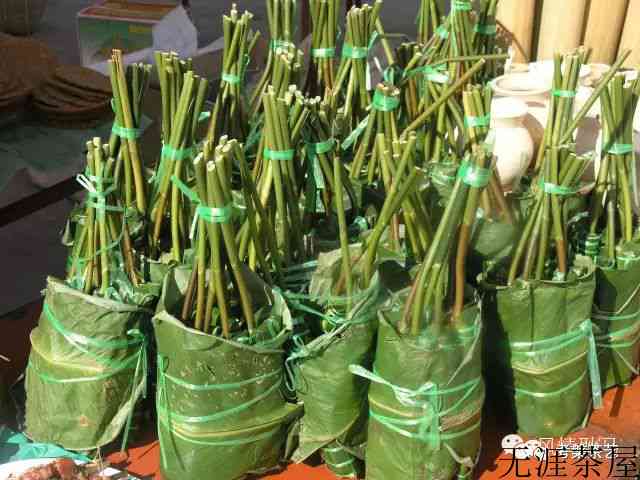 茶叶之乡耿马——茶人必去的地方