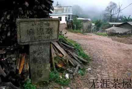 什么样的“麻黑”才是好“麻黑”，三分钟教你辨别正宗古树茶！