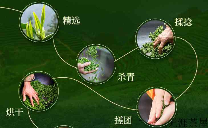 碧螺春和黄山毛峰是怎么制作的呢？(黄山毛峰怎么制作的)
