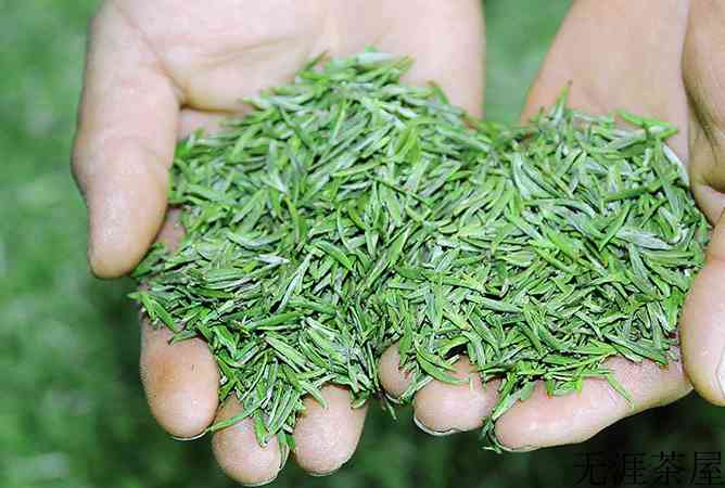 雀舌怎么分好坏？(哪种雀舌最好)