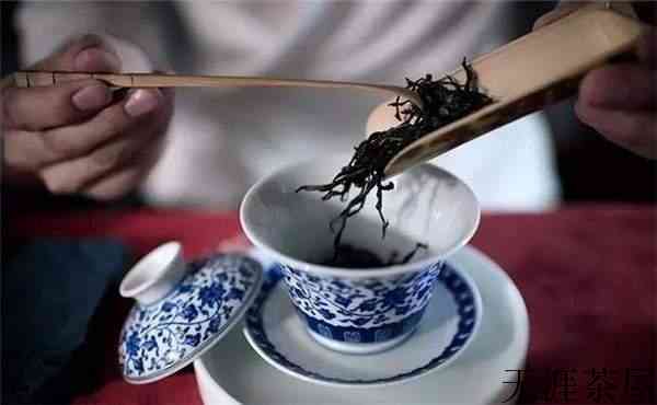 一泡茶怎么控制投茶量？