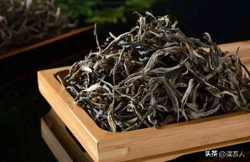 普洱挑选大揭秘：买普洱茶时，这几点一定要看清楚(怎样选购普洱茶)