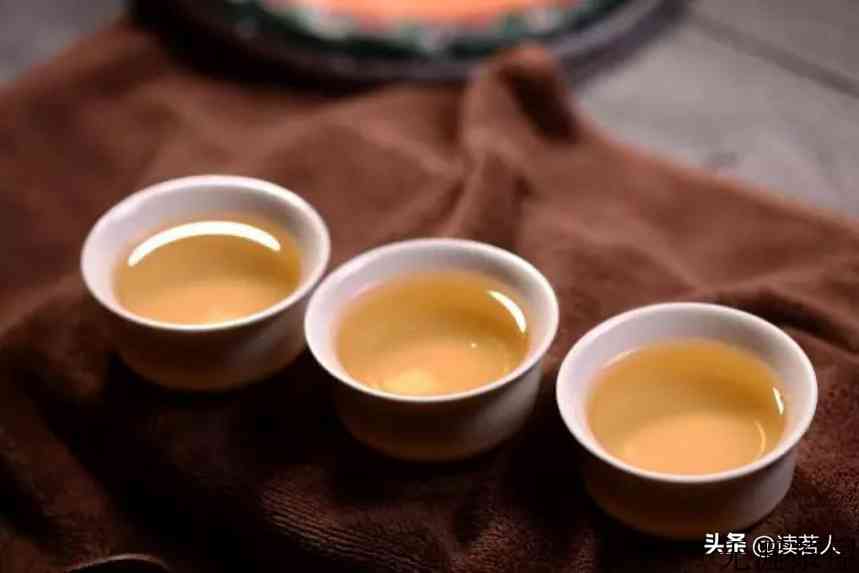 普洱挑选大揭秘：买普洱茶时，这几点一定要看清楚(怎样选购普洱茶)