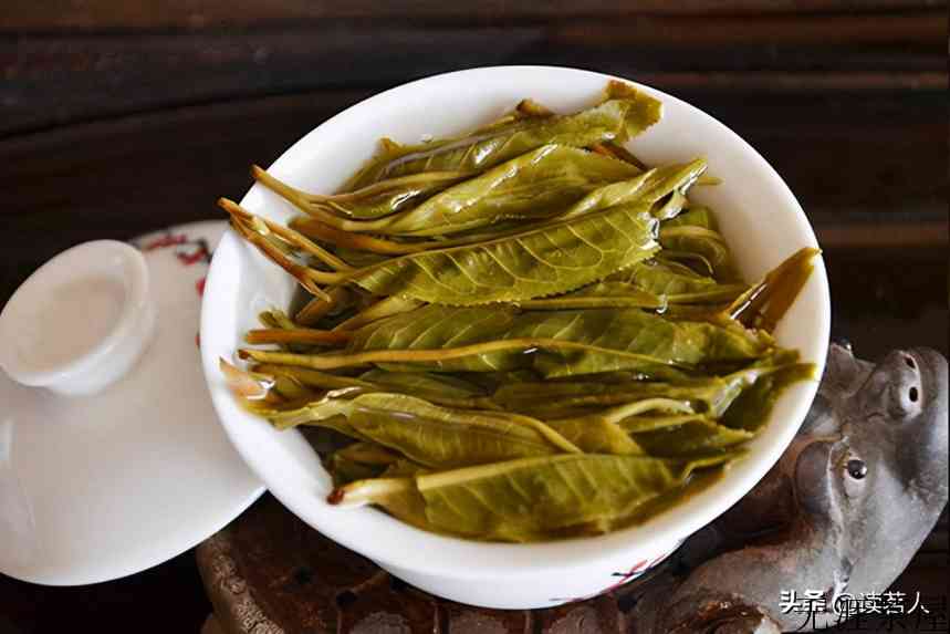 普洱挑选大揭秘：买普洱茶时，这几点一定要看清楚(怎样选购普洱茶)