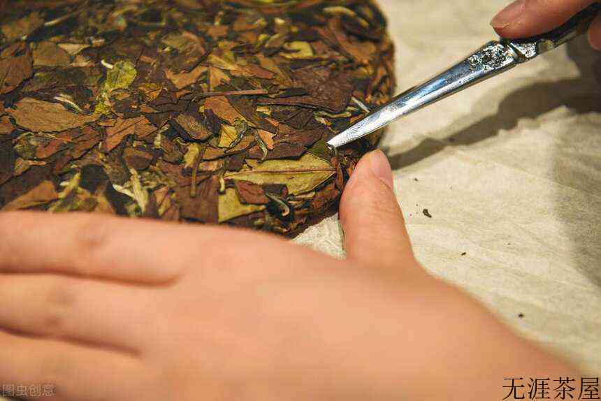 泡普洱茶时，如何正确的“撬茶”？