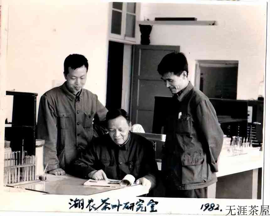 中国茶界“泰斗”一一茶人陈国本