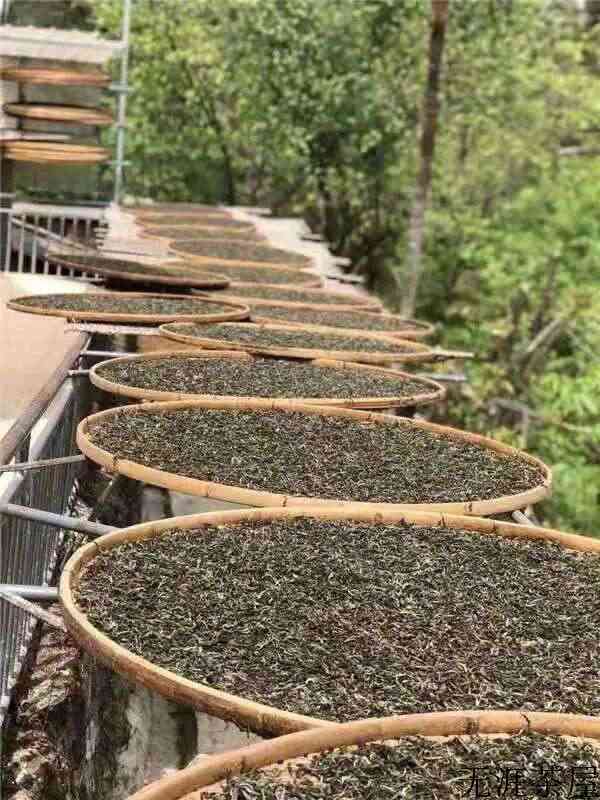 普洱生茶是紧压茶好还是散装茶好？()