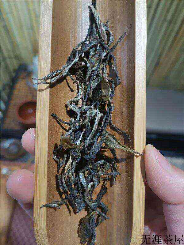 普洱生茶是紧压茶好还是散装茶好？()