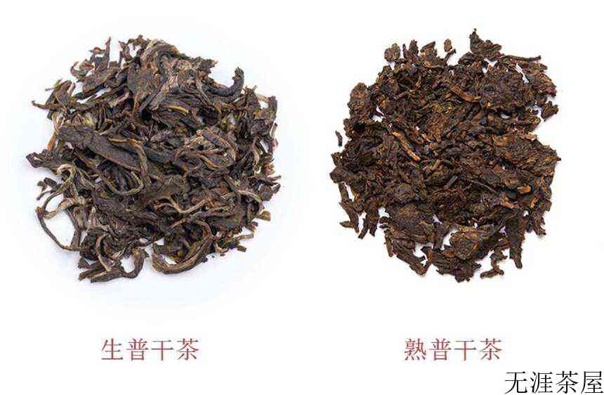 普洱生茶和普洱熟茶的区别(普洱茶的生茶与熟茶功效)