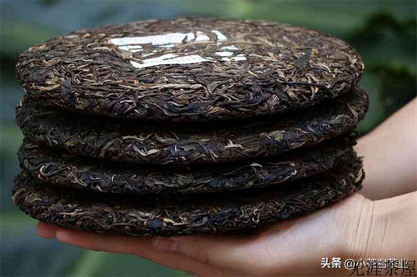 普洱生茶和熟茶的区别是什么()