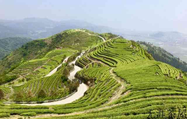 福建连江长龙：以茶促旅走出振兴路