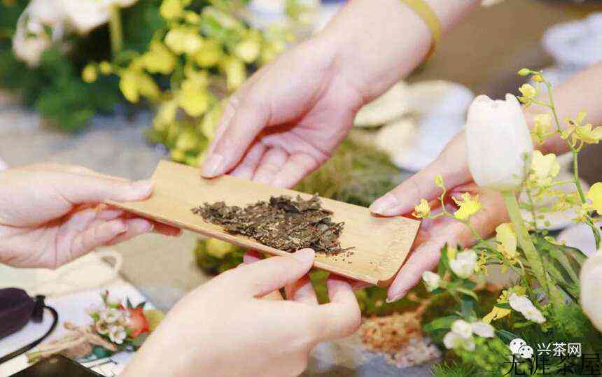 茶叶行业的发展前景