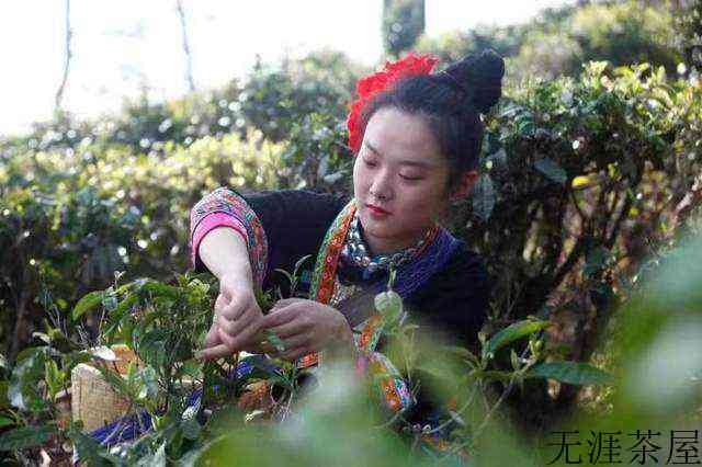 临沧市临翔区滇瑞茶业有限公司