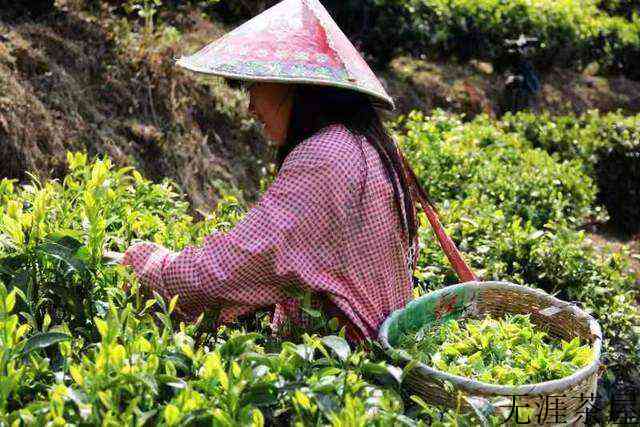 临沧市临翔区滇瑞茶业有限公司