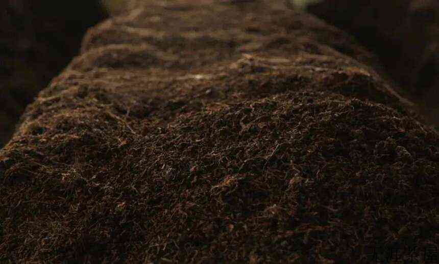 普洱茶中工艺香和品种香的区别在哪？(普洱熟茶香气的种类)