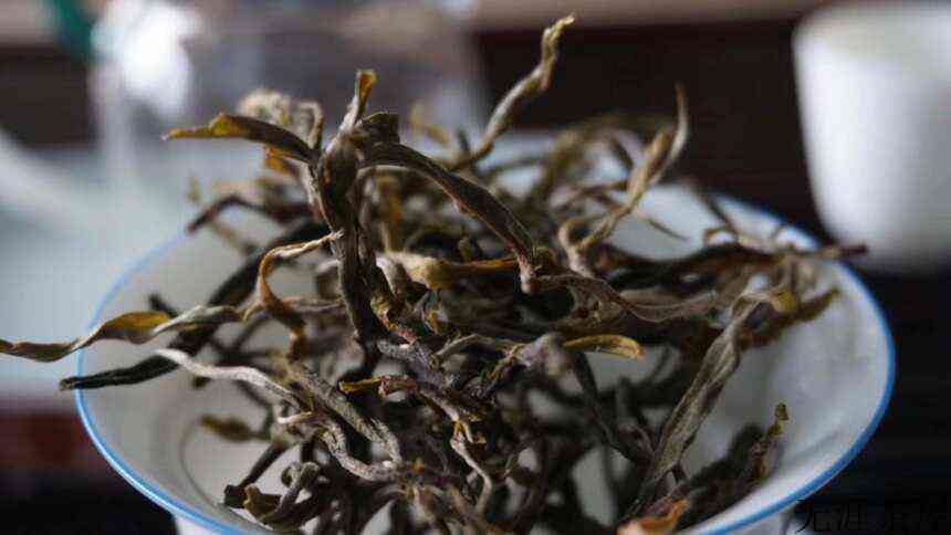 常见的普洱茶生普香气有哪几种？()