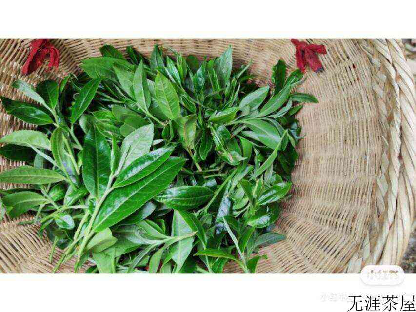 关于普洱茶哪款好喝？（下关普洱茶哪款好喝）()