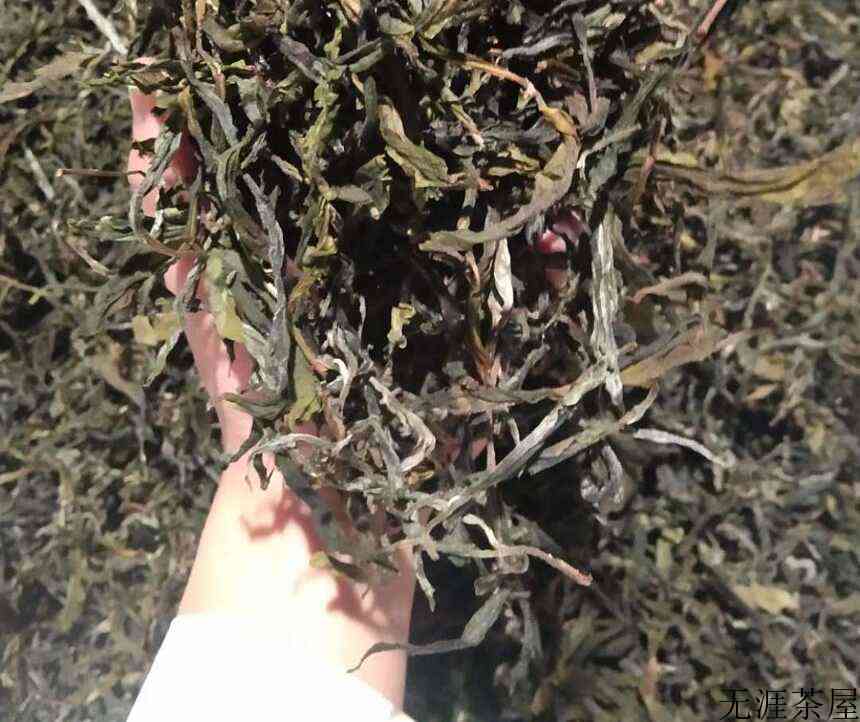 体系混乱！经验至上！学茶这个坑，带偏多少爱茶的人？