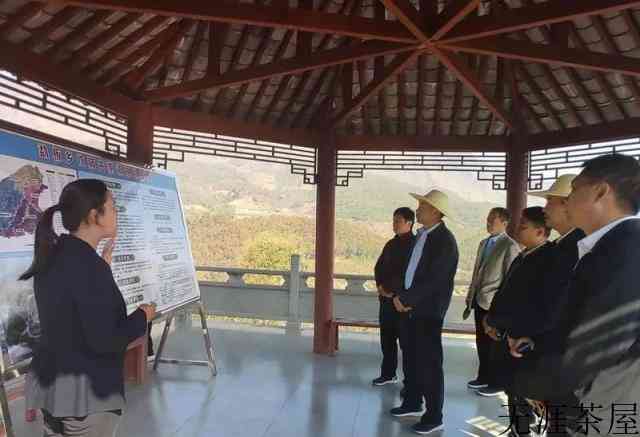 省人大常委会调研组到临沧、保山开展古茶树保护立法调研
