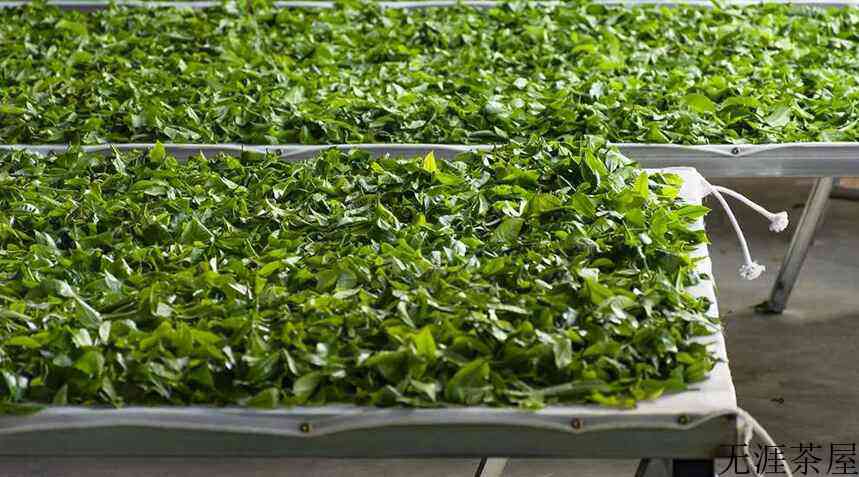 线下茶老板：活着，已用尽了全力