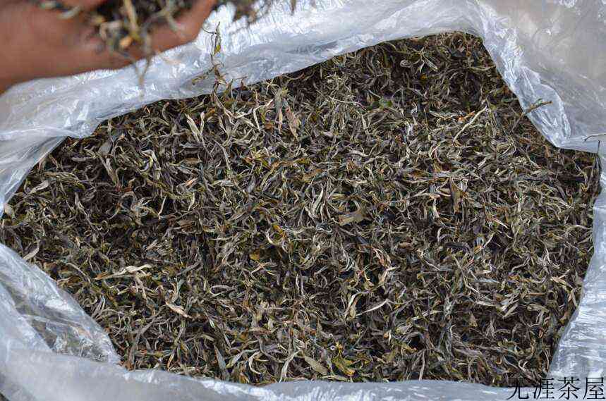 喝茶，你交了多少学费？