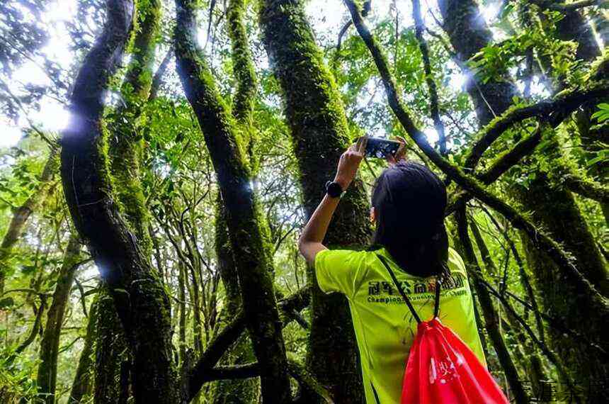 森林普洱千家寨，一处可以拍摄阿凡达的地方