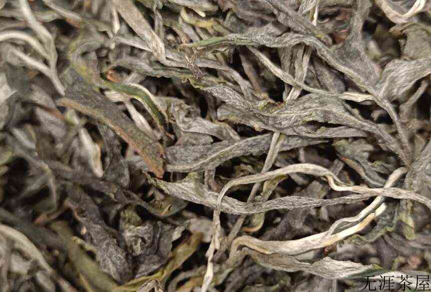 冰岛老寨单株：12万一公斤的冰岛茶，喝的是寂寞！