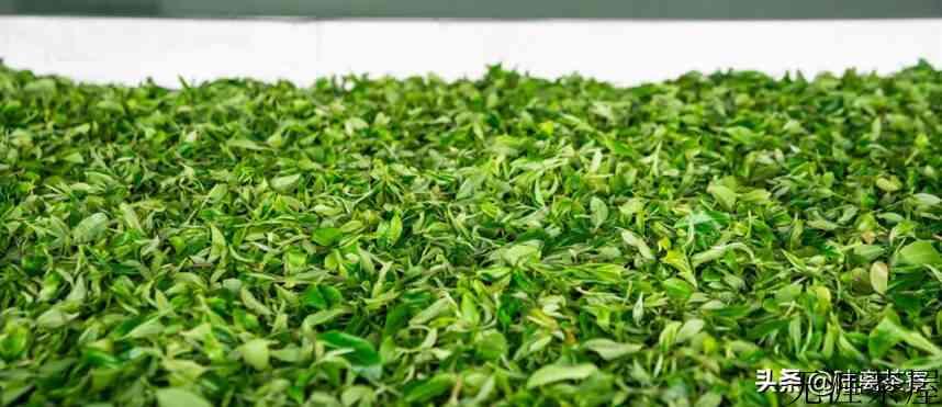经济下行，远离资讯中心的北方茶店该如何自救？