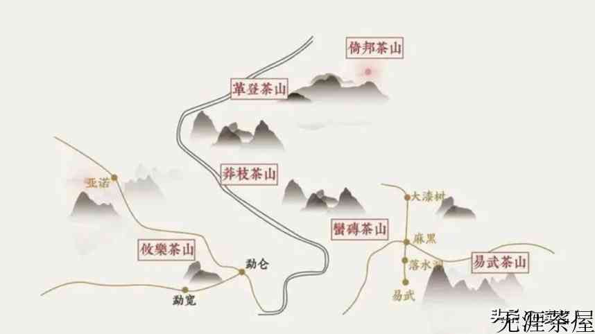 寻味普洱之版纳寻茶——莽枝！