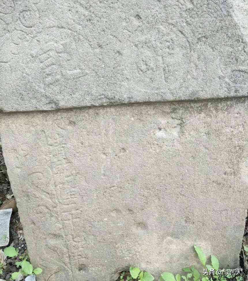 寻味普洱之版纳寻茶——莽枝！
