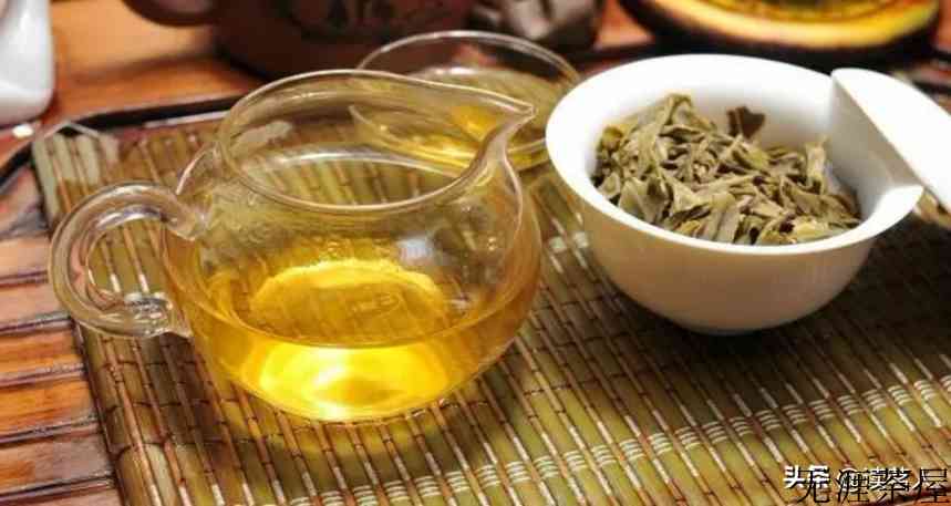 寻味普洱之版纳寻茶——莽枝！