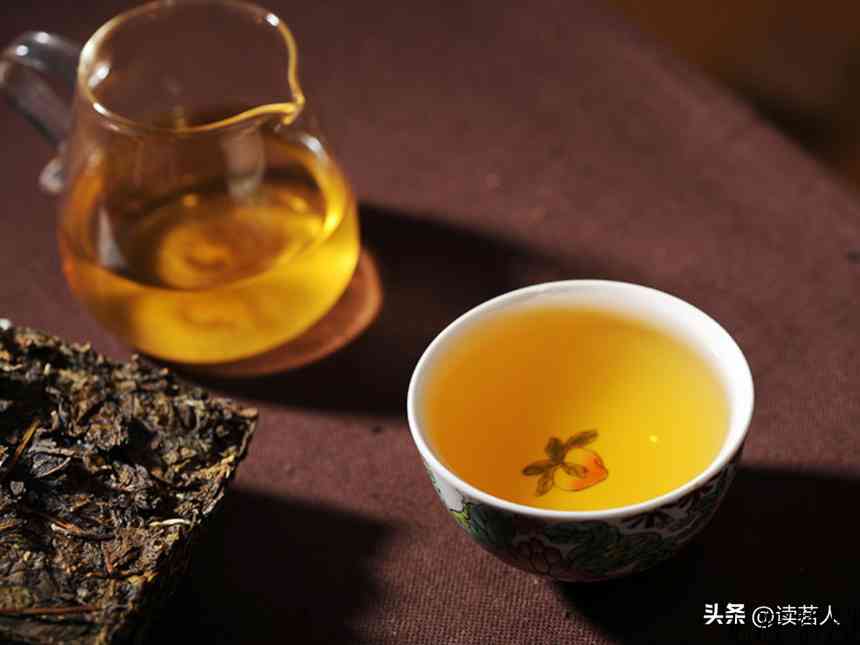 寻味普洱之版纳寻茶——莽枝！