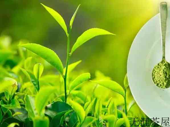 为什么头条推送抖音卖茶没有绿茶呢？