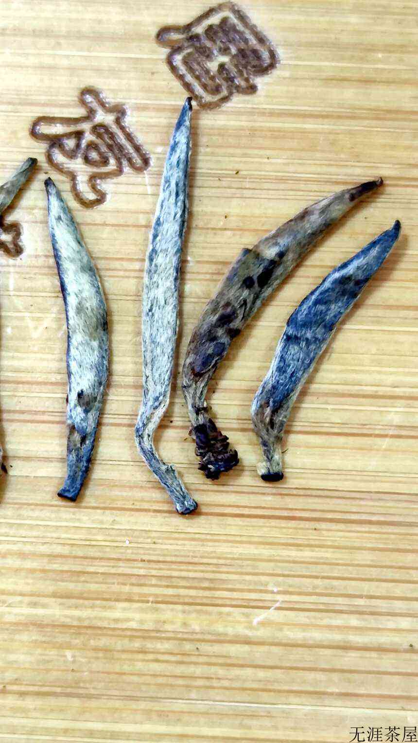 普洱茶什么时候最好喝（喝普洱茶什么时候喝最好）