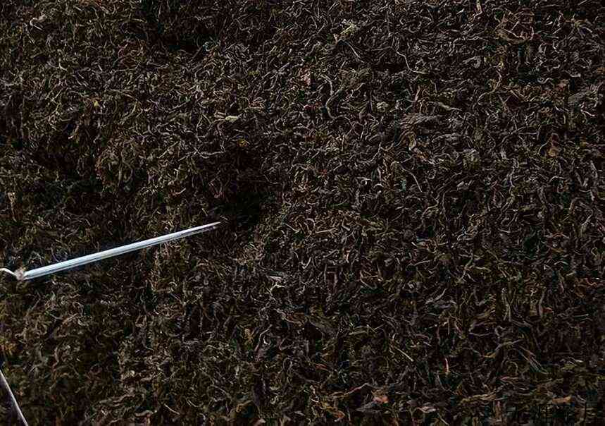 聊聊普洱熟茶的“堆味”
