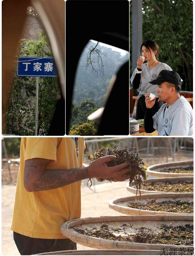 易武茶值得存吗？为什么近年来倍受青睐？5点说明