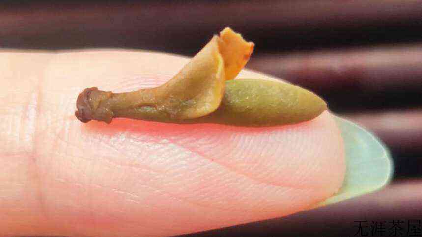 储存普洱茶过程中的2大重要指标