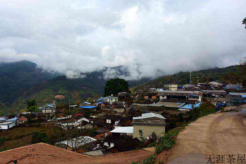 1000元以下，盘点勐库茶区最具性价比的四大山头古树