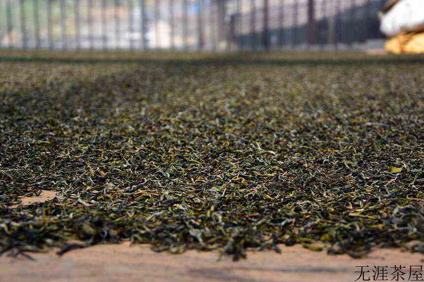 1000元以下，盘点勐库茶区最具性价比的四大山头古树