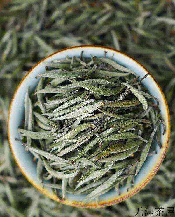 福鼎白茶好还是云南白茶好？