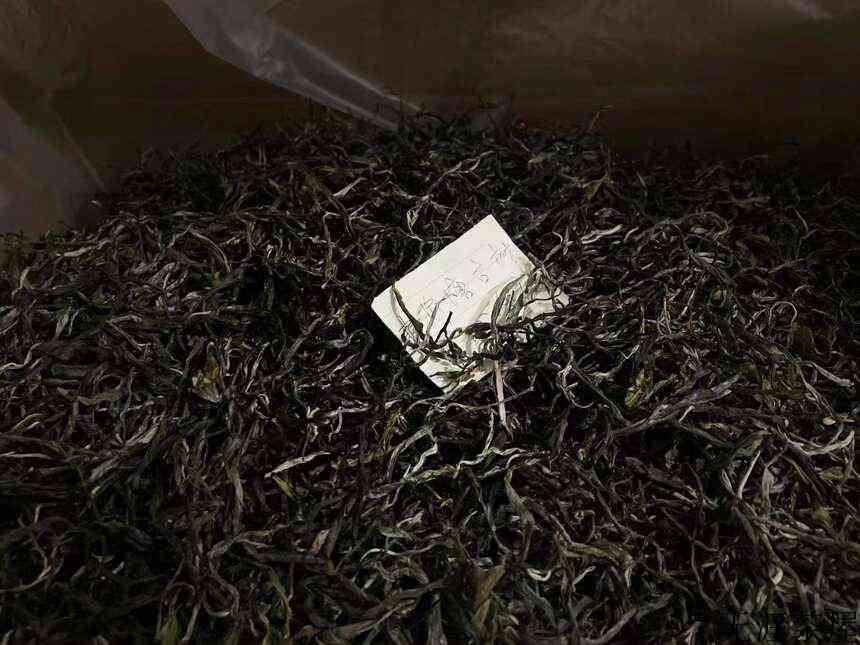 薄荷塘：与天地精神相往来